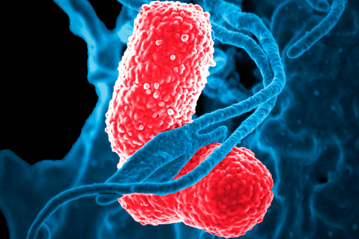 Desinfecció amb ozó a Girona